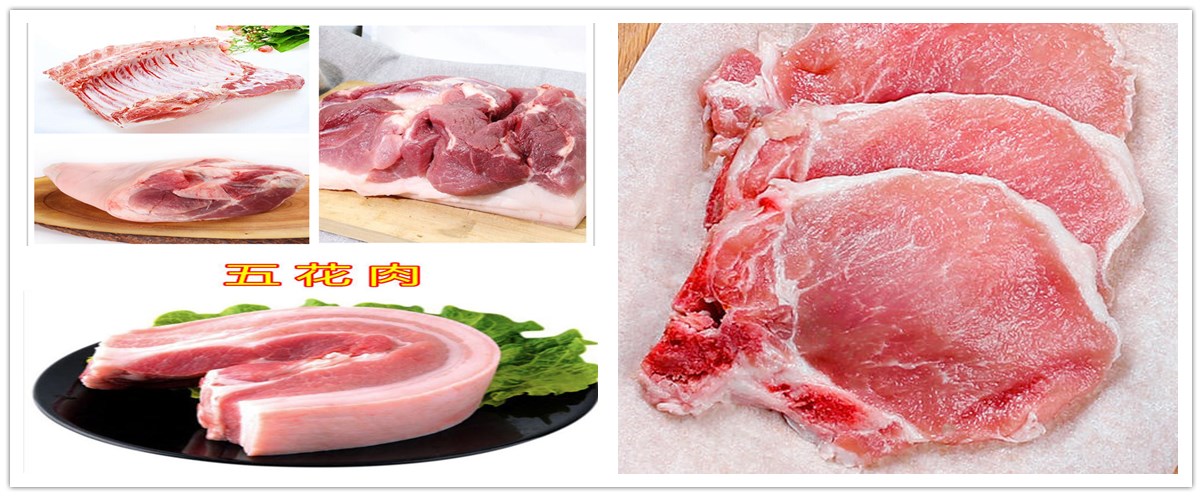 1636279779596913.jpg 1-200P923211U46.jpg