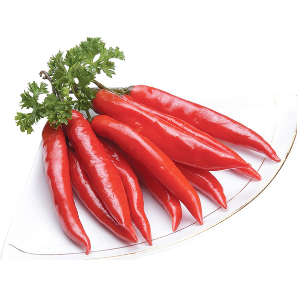 食堂承包餐飲公司，使事情更有服從