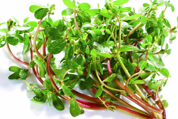 食堂承包餐飲服務(wù)管理為員工發(fā)展提供美味的食物，可以增加員工的社會福利